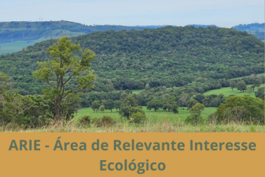Unidade de Conservação – ARIE Área de Relevante Interesse Ecológico no município de São José das Palmeiras