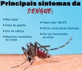 BOLETIM DENGUE